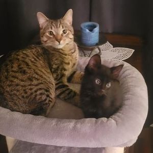 Meet your Posher, Leanne